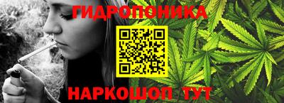 ГАЛЛЮЦИНОГЕННЫЕ ГРИБЫ Волжский